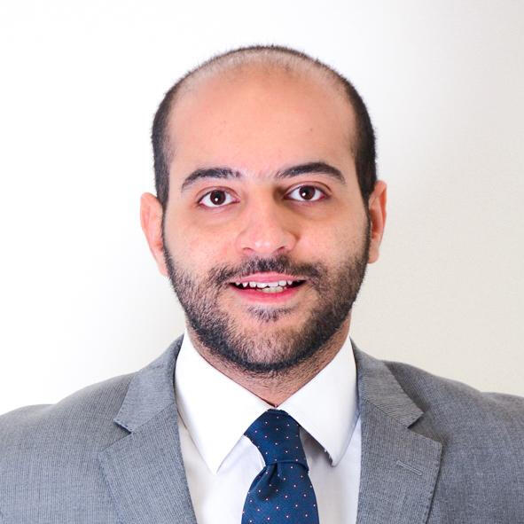 Mohamed Hamed Mohamed Hamed